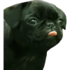 Tongues 9