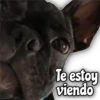 Quédate en casa 6