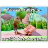 BOB MEMES RANDOM ( By ᏩᎥᏕє εїз) 5