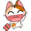 Funny Cats 6