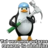 Pingüinos 10