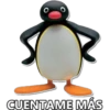 Pingüinos 11