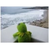 Kermit the frog (pics) 3 9