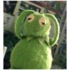 Kermit the frog (pics) 3 10