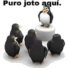 Pingüinos 12
