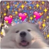 Things of love 5
