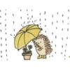 STICKERS ERIZOS 3 5