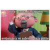 BOB MEMES RANDOM ( By ᏩᎥᏕє εїз) 11