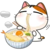 Funny Cats 13