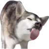 Tongues 14