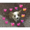 Things of love 8