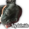 Quédate en casa 8