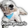 Quédate en casa 9