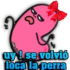 Gise €13
uy! se volvió
loca la perra