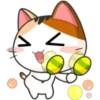 Funny Cats 14