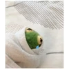 Kermit the frog (pics) 3 12