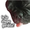 Quédate en casa 10