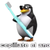 Pingüinos 19