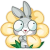 Boo the Bunny 2 8