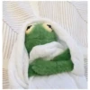 Kermit the frog (pics) 3 13