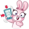 Bunny Rosy 15