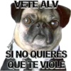 VETE ALV
MIKE
SI NO QUIERES
QUE TE VIOLE