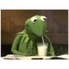 Kermit the frog (pics) 3 14