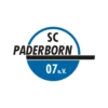 Bundesliga 2 (Germany) 8