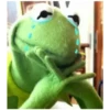 Kermit the frog (pics) 3 15