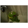 Kermit the frog (pics) 3 16