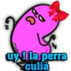 C₂
Gise €13
uy! la perra
culia