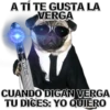 A TÍ TE GUSTA LA
VERGA
MIKE
CUANDO DIGAN VERGA
TU DICES: YO QUIERO