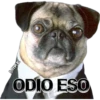 MIKE
ODIO ESO