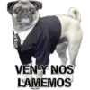 MIKE
VEN Y NOS
LAMEMOS