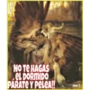 Ángeles tóxicos ️ 14
