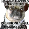 HAY QUE HACERLO
EN TODAS LAS
MIKE
POSICIONES DEL
KAMASUTRA