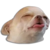 Tongues 18