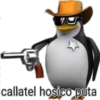 Pingüinos 24