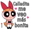 Powerpuff Girls 21
