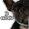 Quédate en casa 14