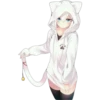 Meow 18