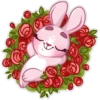 Bunny Rosy 17