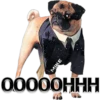 HHHOOOOO
MIKE