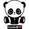 pandas nuevos 15