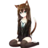 Meow 19