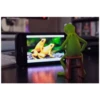 Kermit the frog (pics) 3 17