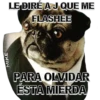 MIKE
LE DIRÉ A J QUE ME
FLASHEE
PARA OLVIDAR
ÉSTA MIERDA