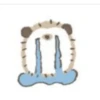 Puercoespín 19