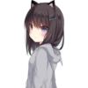 Meow 20