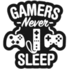 Gamers☆ 15